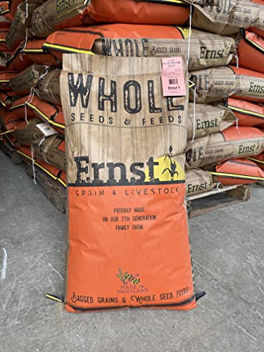 Feed Grade Oats, 50 lb K8113