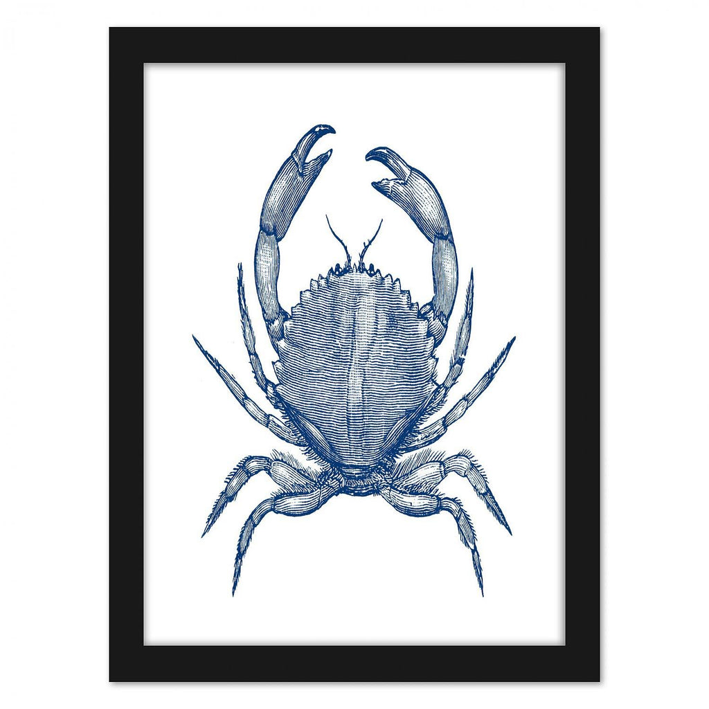 Black Frame Crab Quad Wall Art C99422