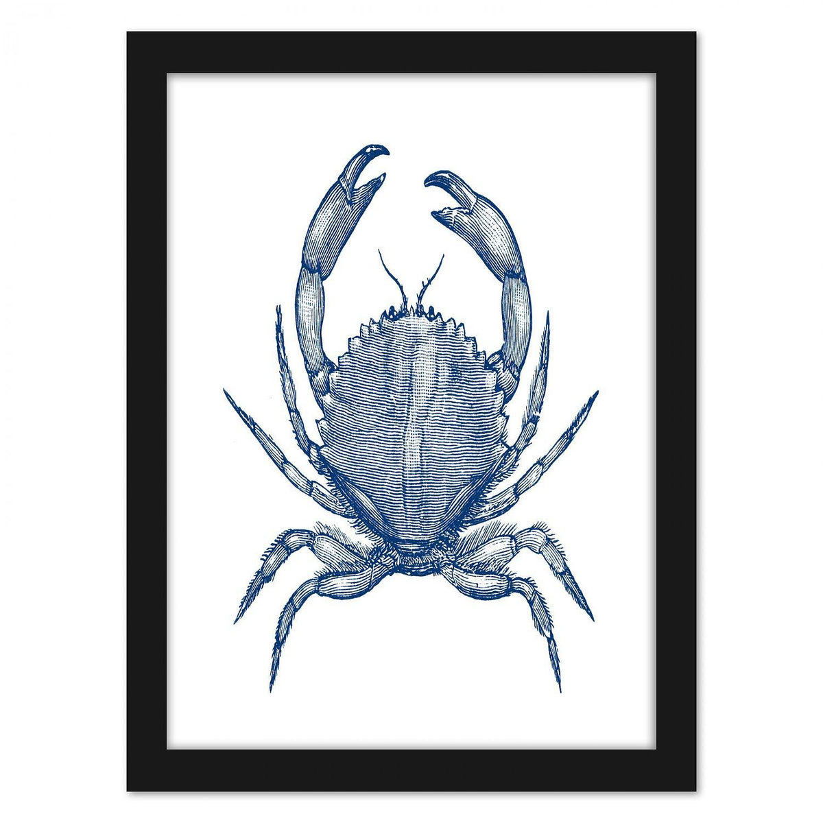 Black Frame Crab Quad Wall Art C99422