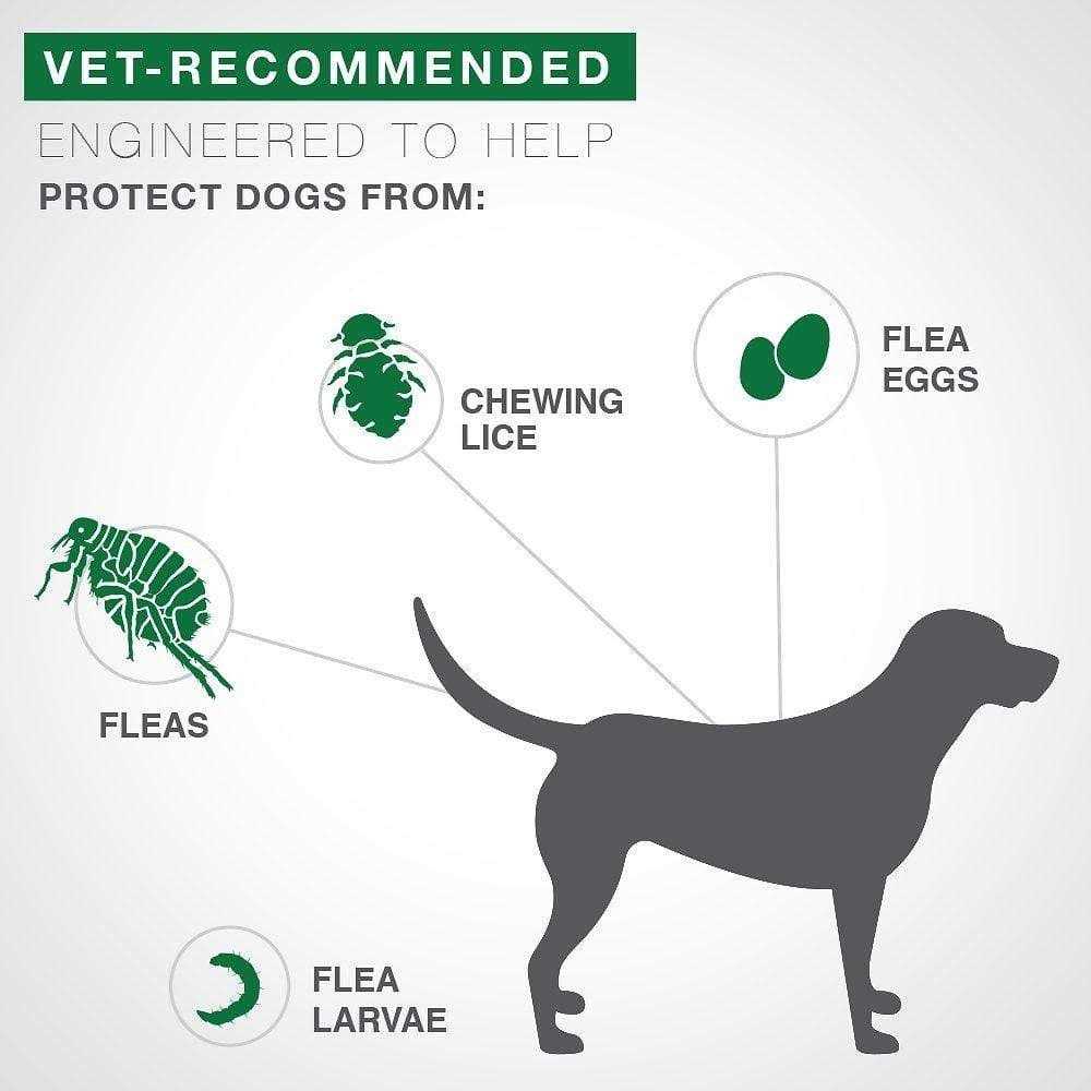 Medium Dog Pet Supplies D283