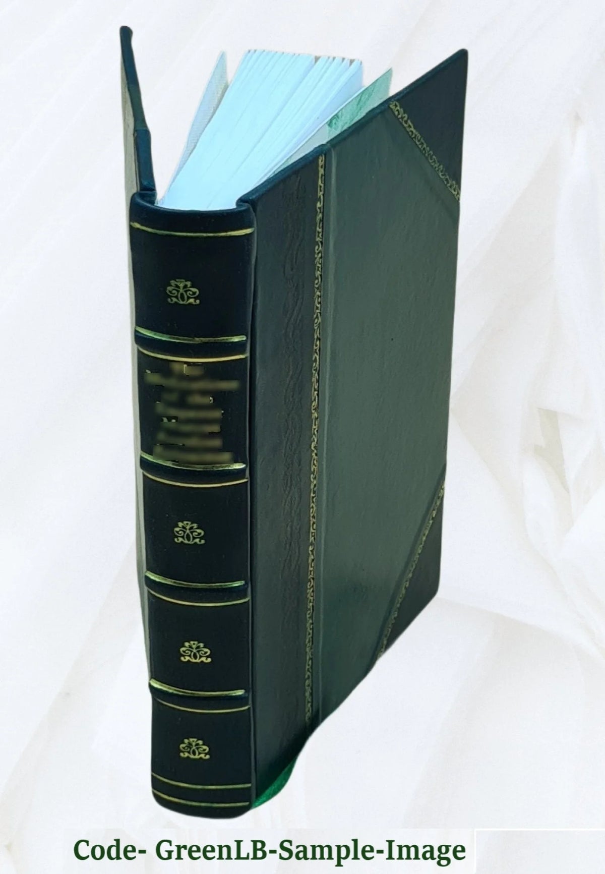 v.5 1813 K508016