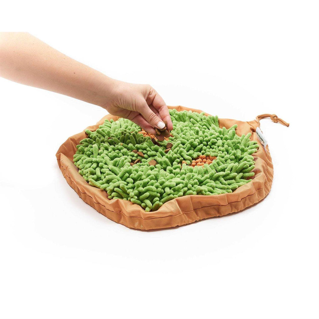 Snuffle Mat & Slow Feeder Dog Bowl G48095