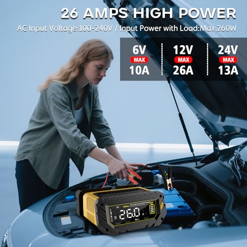 12V 24V 16-Amp Smart Battery Charger L738682