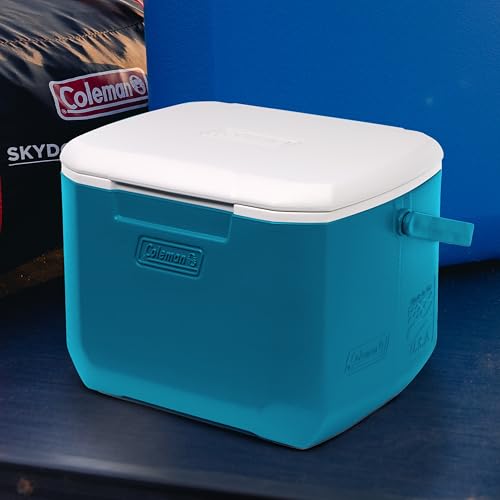 16qt Insulated Portable Cooler with Carry Handle R672