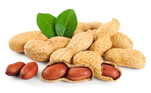 Raw Peanuts in Shell, 25 Pound Bag B8871