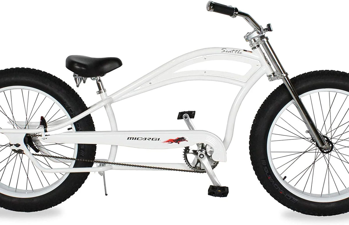 26 Single Speed Fat Tire Beach Cruiser Bike W6419