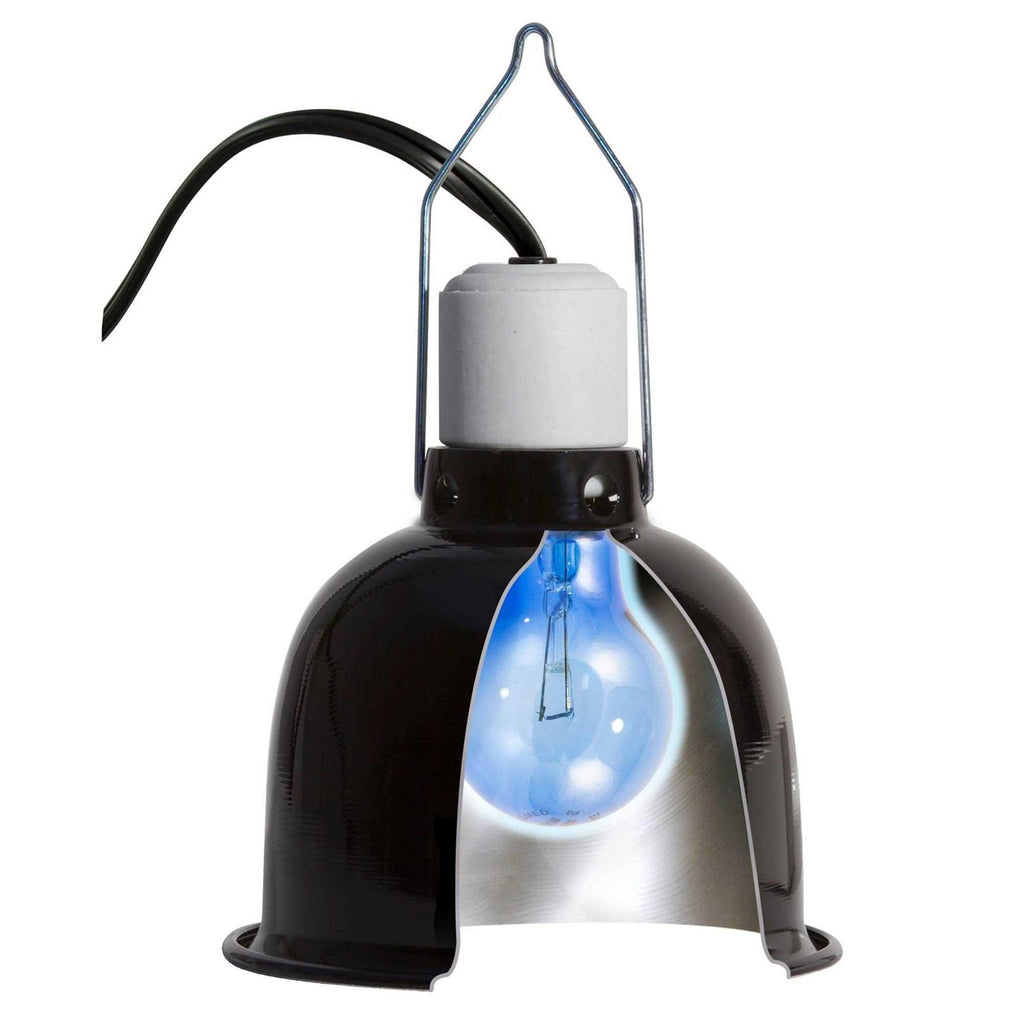 Daylight Blue Reptile Bulb M694790