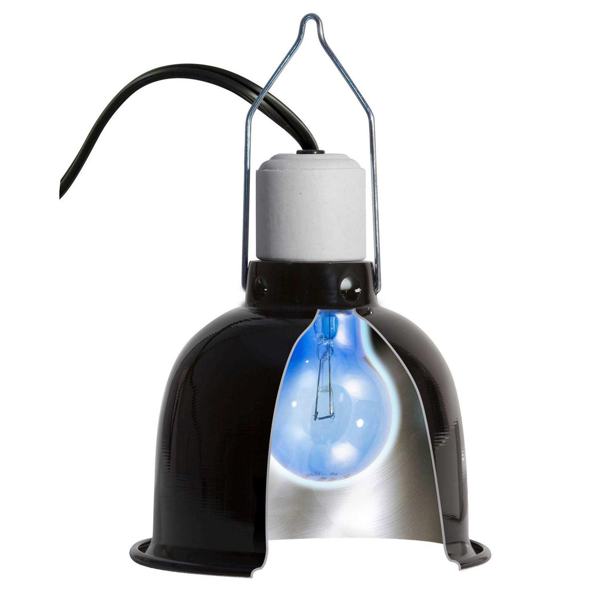 Daylight Blue Reptile Bulb M694790
