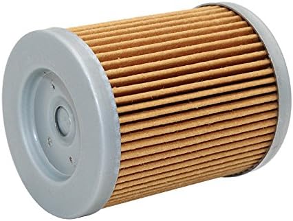 Oil Filter Pack of 2 N529775