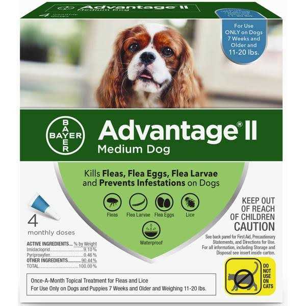 Medium Dog Pet Supplies D283