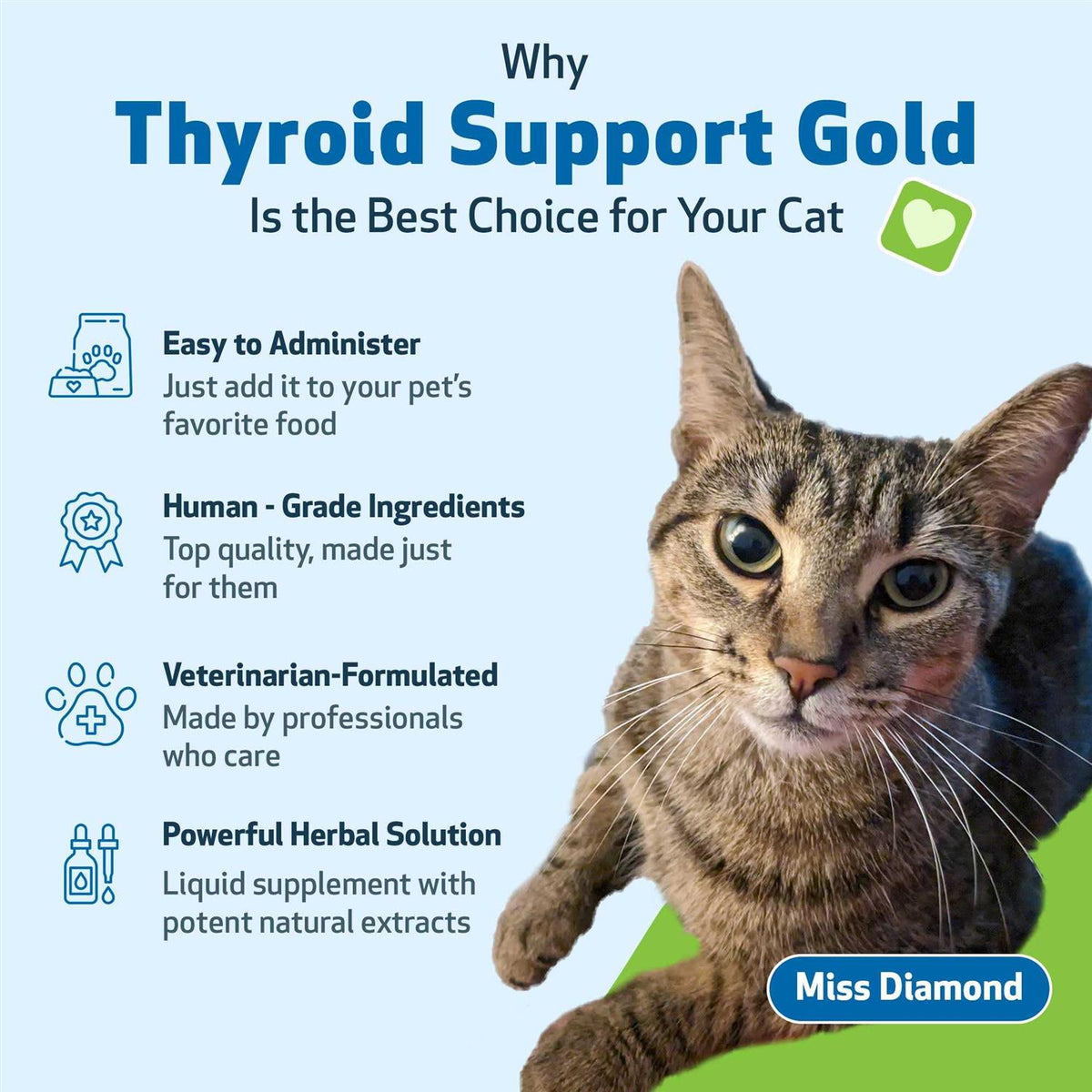 Thyroid Support Gold for Cats P714