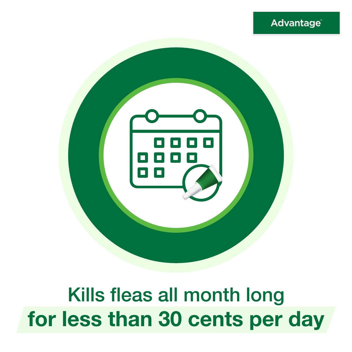 Topical Flea Prevention for Large Cats U607654