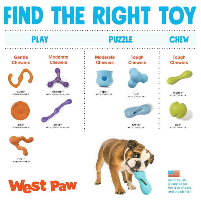 Dog Toy Q557495