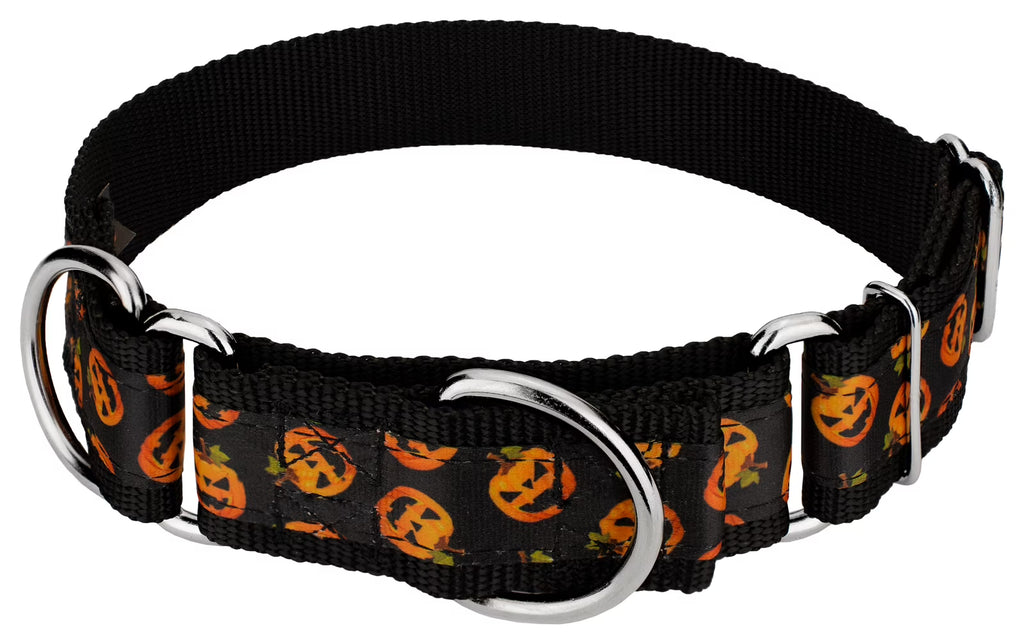 Martingale Dog Collar, 1 1/2 inch, Large H542