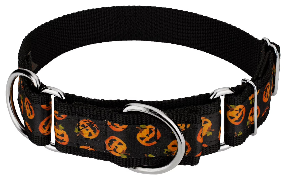 Martingale Dog Collar, 1 1/2 inch, Large H542