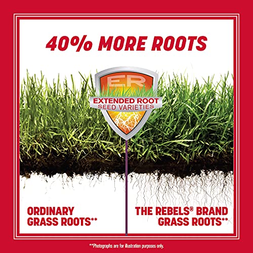 20 lb Tall Fescue Grass Seed Mix I2712