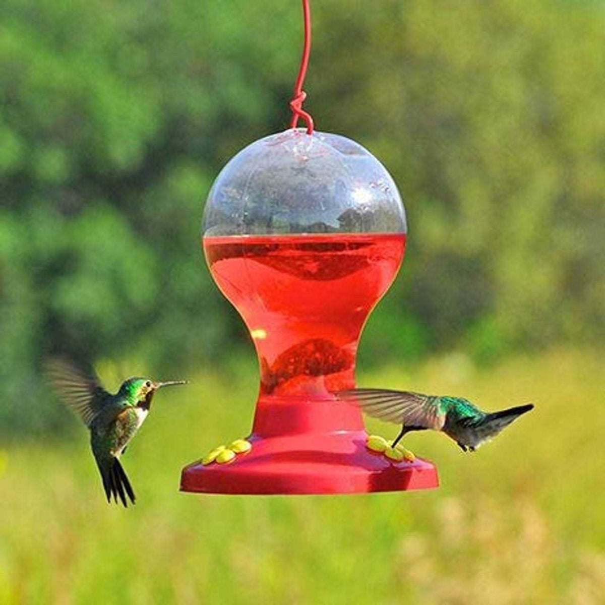 Hummingbird Nectar E64393
