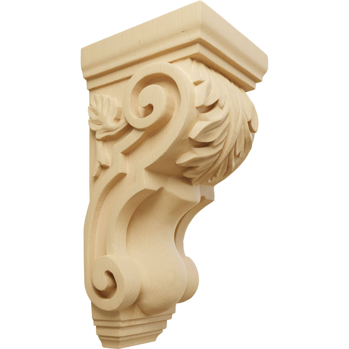 Medium Traditional Acanthus Corbel F243