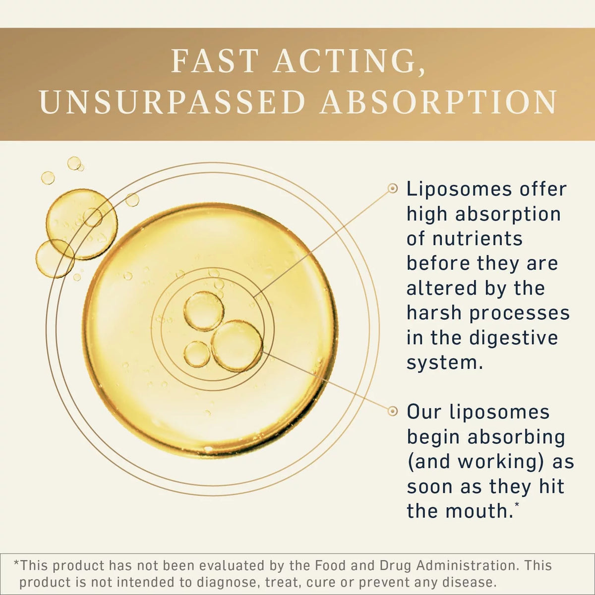 Liposomal Immune + Seasonal Support with Quercetin, Vitamin C + Diindolylmethane (DIM) 1.7oz / 50ml H204128