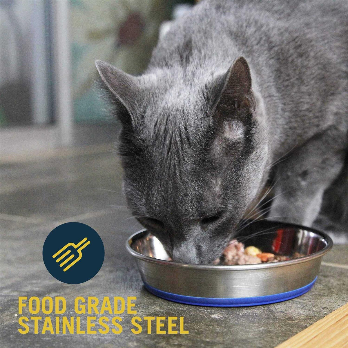 Stainless Steel Cat Dish C29758
