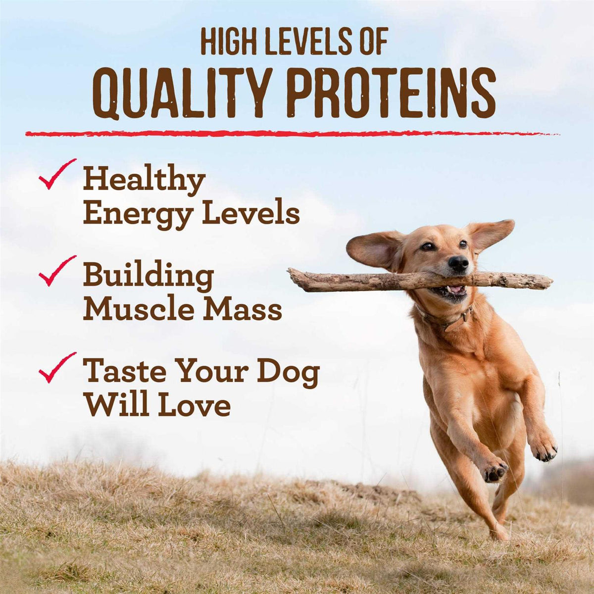 Grain Free Chicken Sweet Potato Dry Dog Food R331463