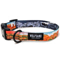 Dog Collar R328981