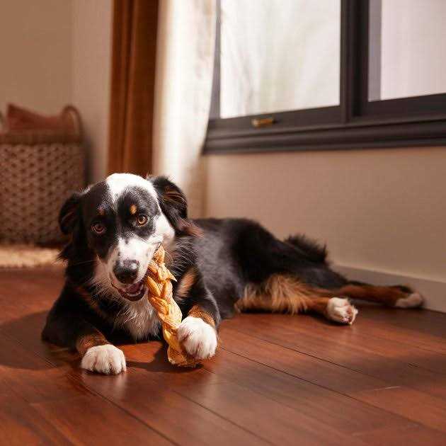 Braided Water Buffalo Tendon Dog Chews A3771