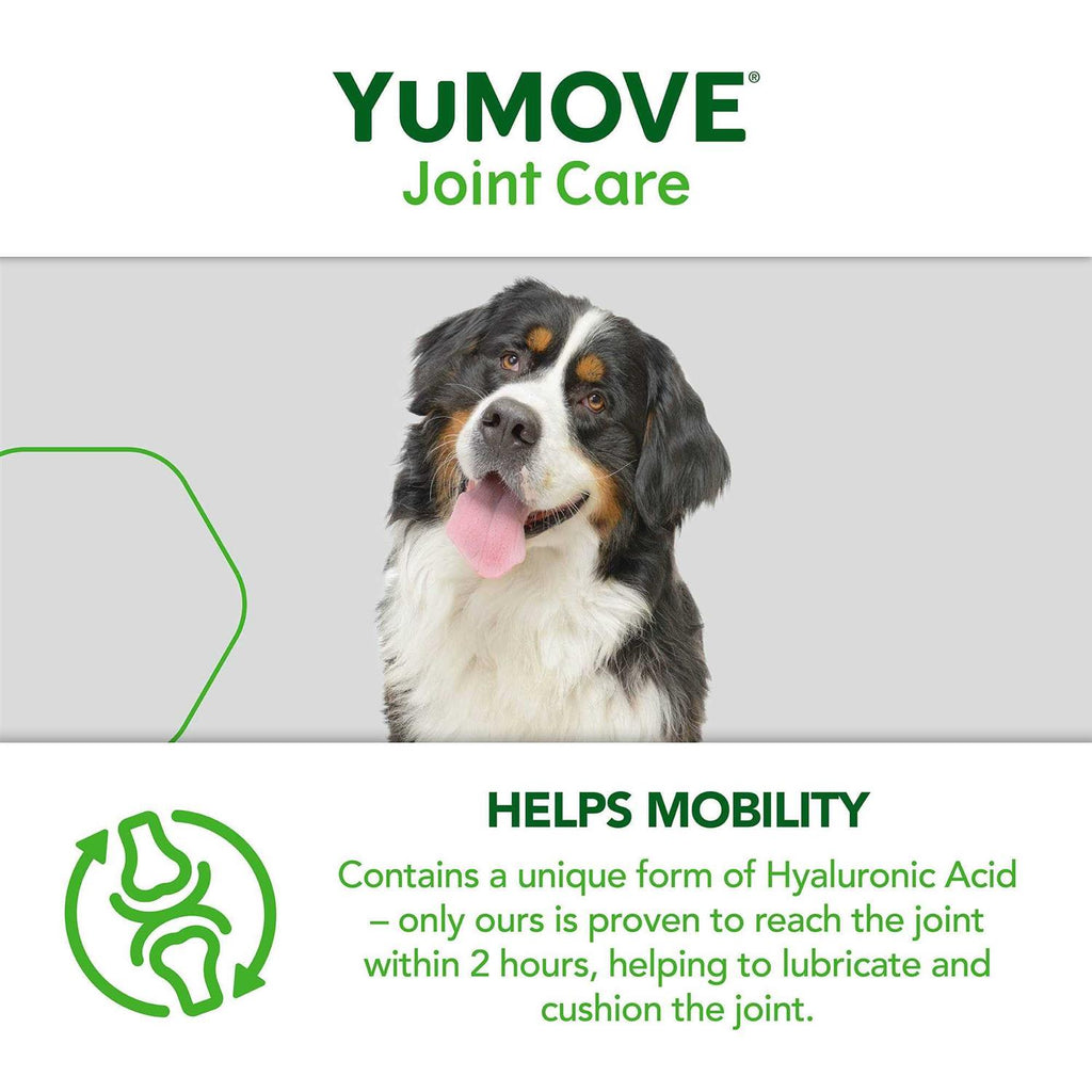 Joint Supplement for Senior Dogs E86313