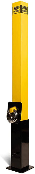 Removable Security Post C46875