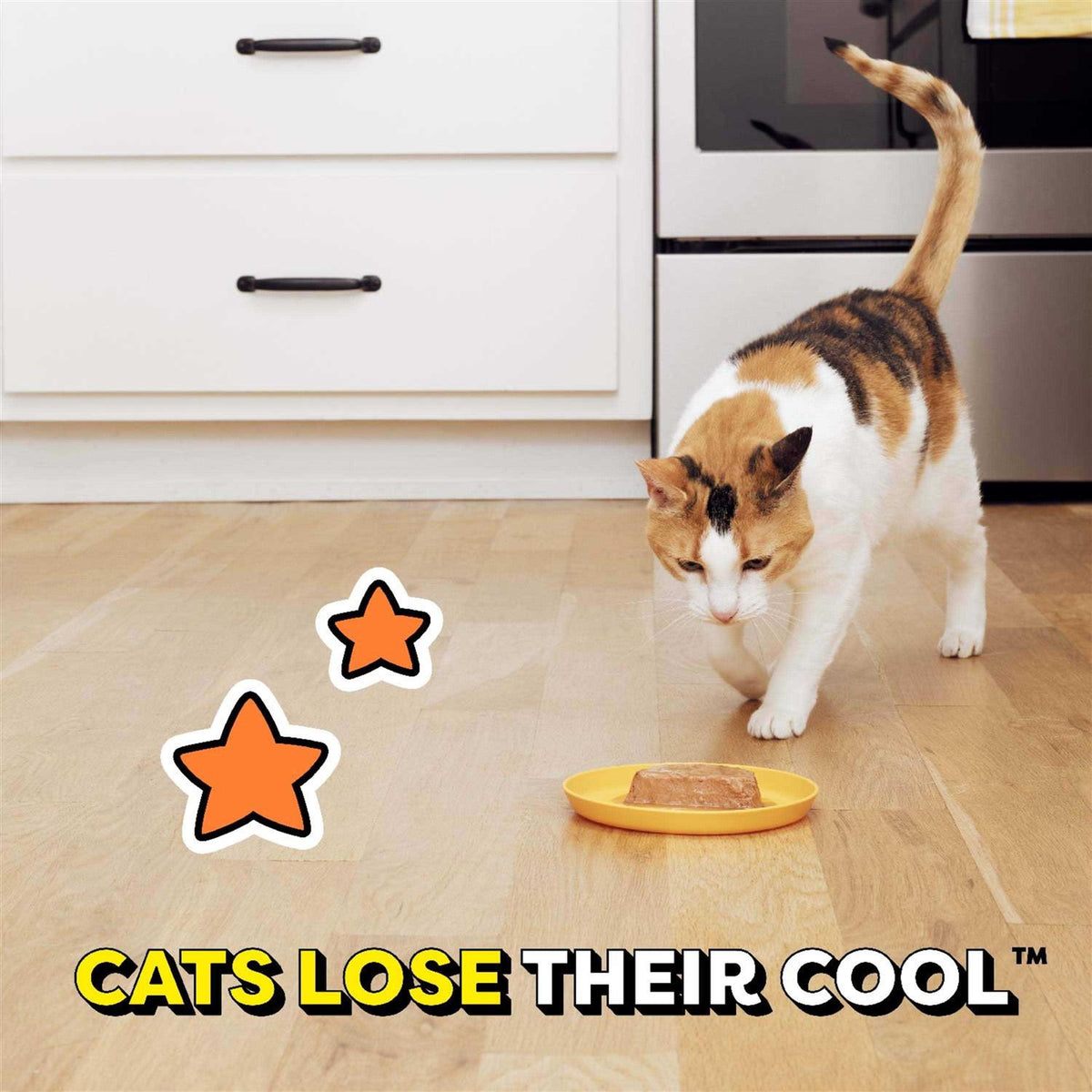 Chicken Flavor Gravy Wet Cat Food T3068
