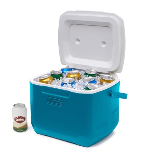16qt Insulated Portable Cooler with Carry Handle R672