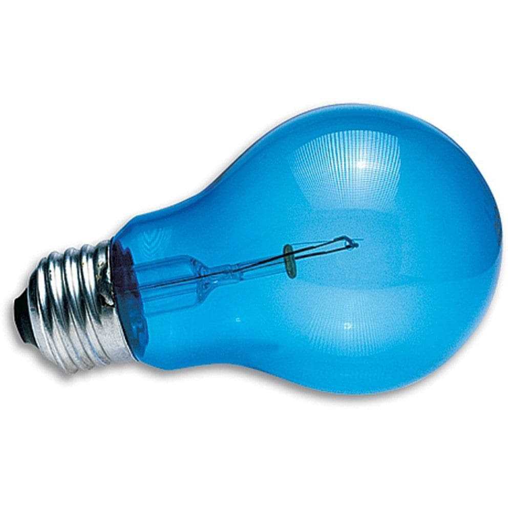 Daylight Blue Reptile Bulb M694790