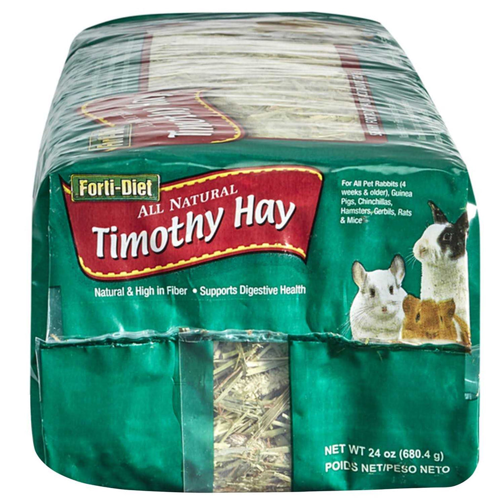 Timothy Hay O2124
