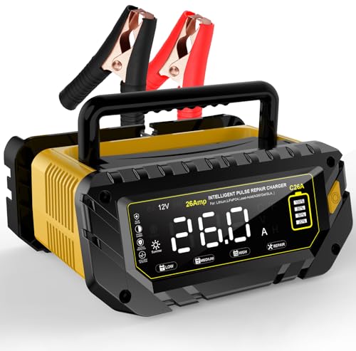 12V 24V 16-Amp Smart Battery Charger L738682