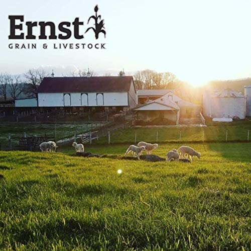 Feed Grade Oats, 50 lb K8113