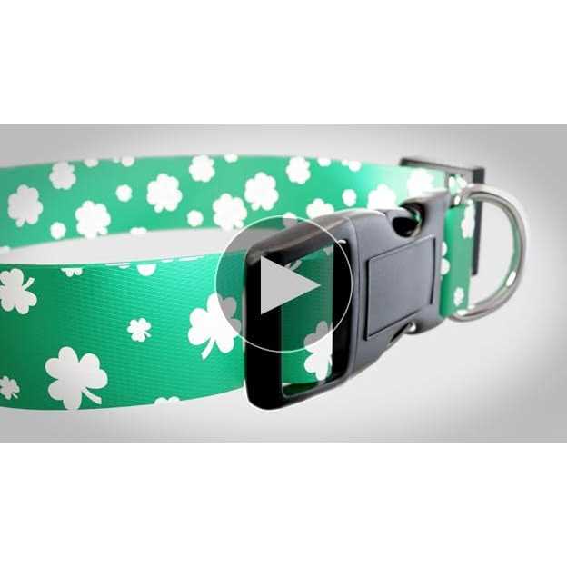 St Patricks Day Dog Collars G811605