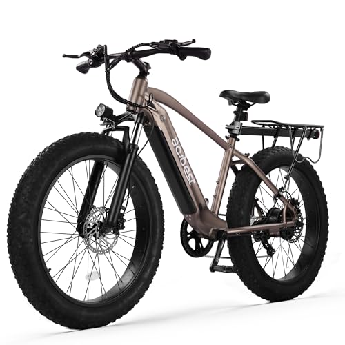 26"*4" Electric Bike with Peak 1400W Motor, 720Wh Removable Battery, 7-Speed Hydraulic Brakes U5570
