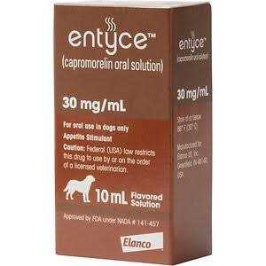 Entyce Oral Solution for Dogs R8990
