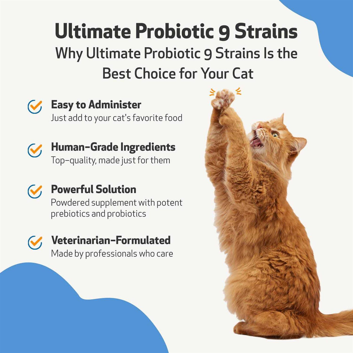 Probiotic 9 Strains for Dogs & Cats B6101