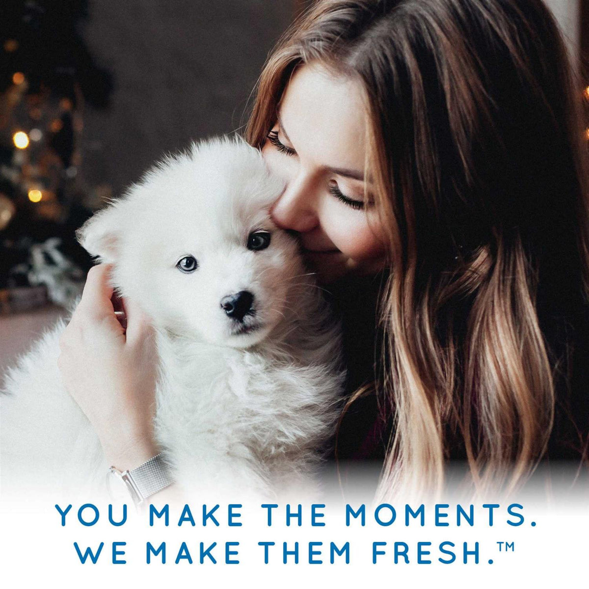 Pet Allergy Relief Wipes I8943