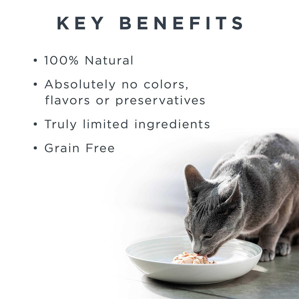Gravy Tuna Fillet Grain Free Cat Food X2105