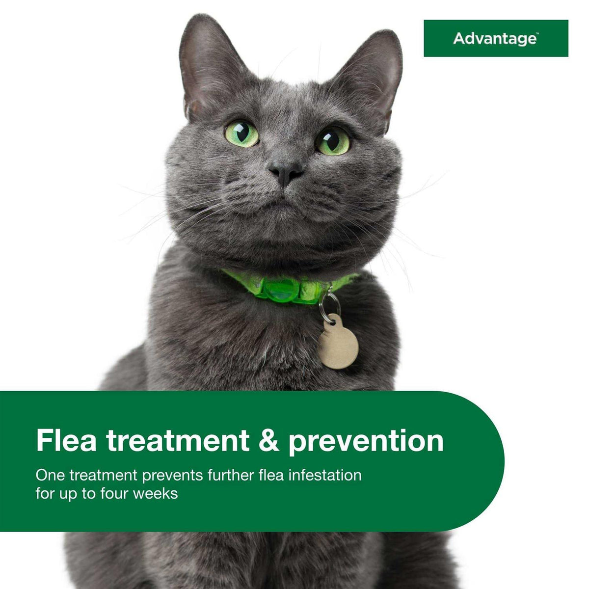 Topical Flea Prevention for Large Cats U607654