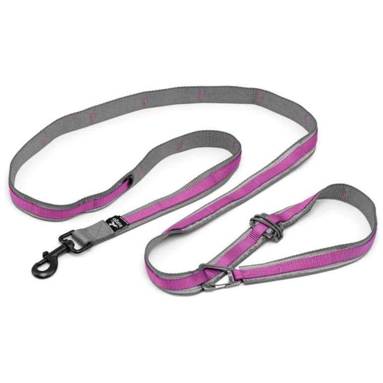 Dog Leash K62840