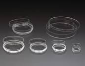 Tissue Culture Treated Dish A358