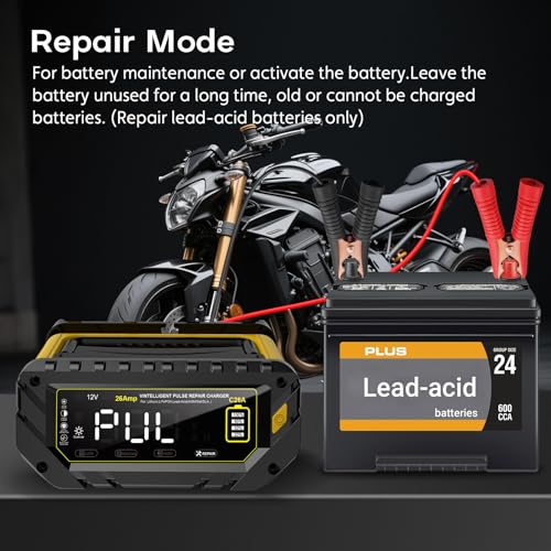 12V 24V 16-Amp Smart Battery Charger L738682