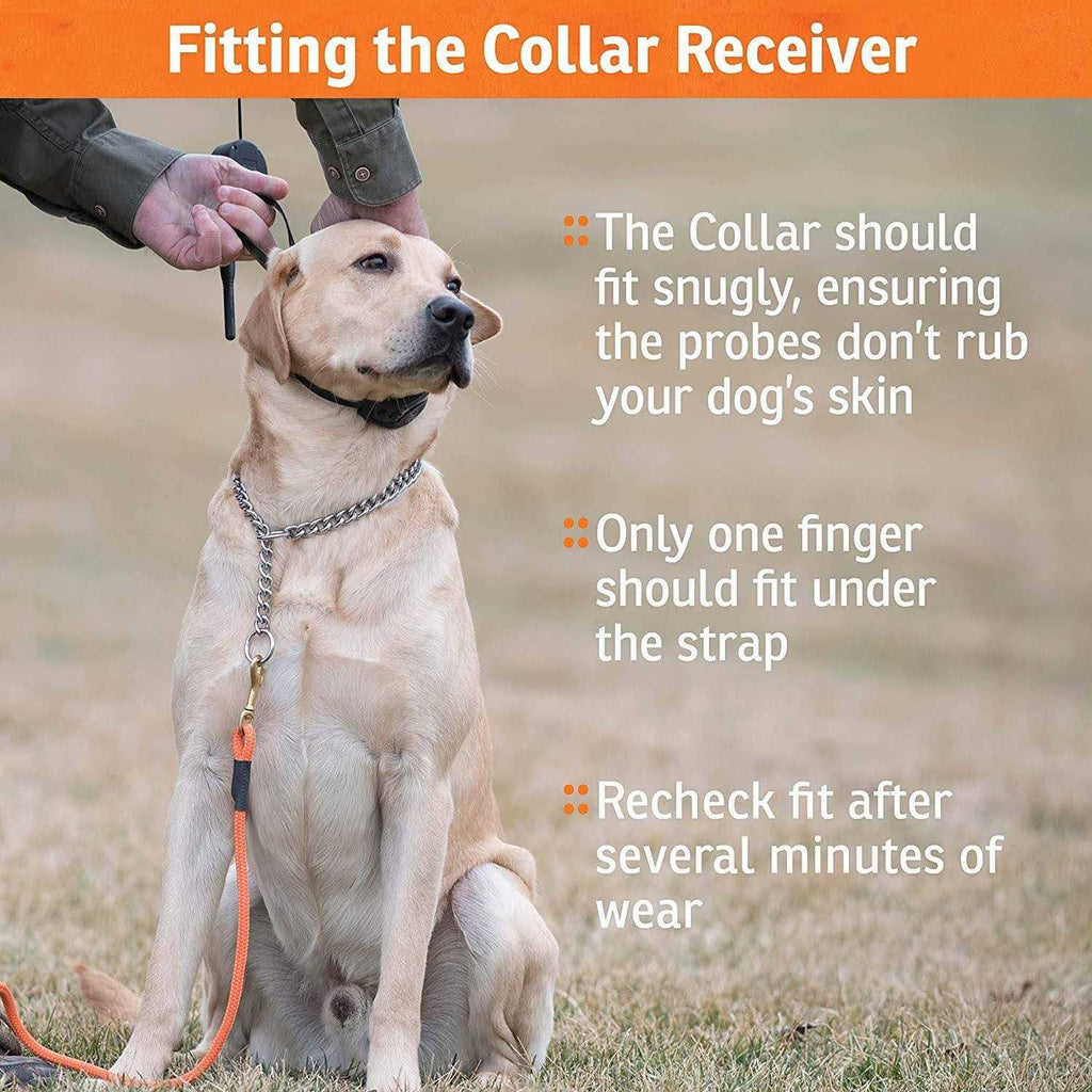 Add-A-Dog Collar S29649