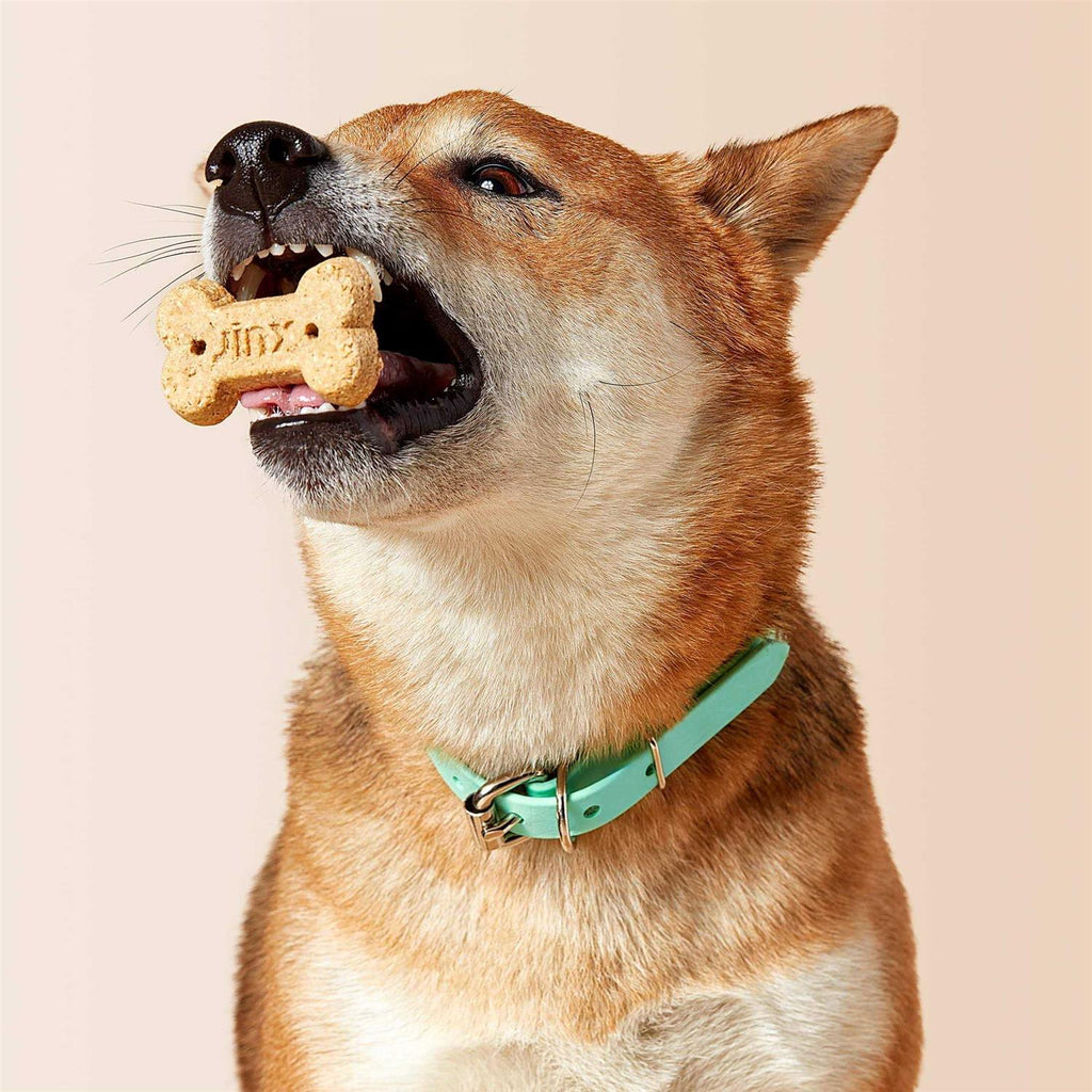 Chicken & Bone Broth Biscuits Crunchy Dog Treats U689