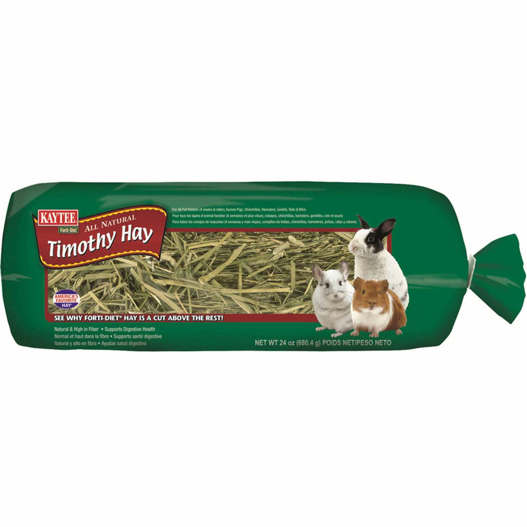 Timothy Hay O2124
