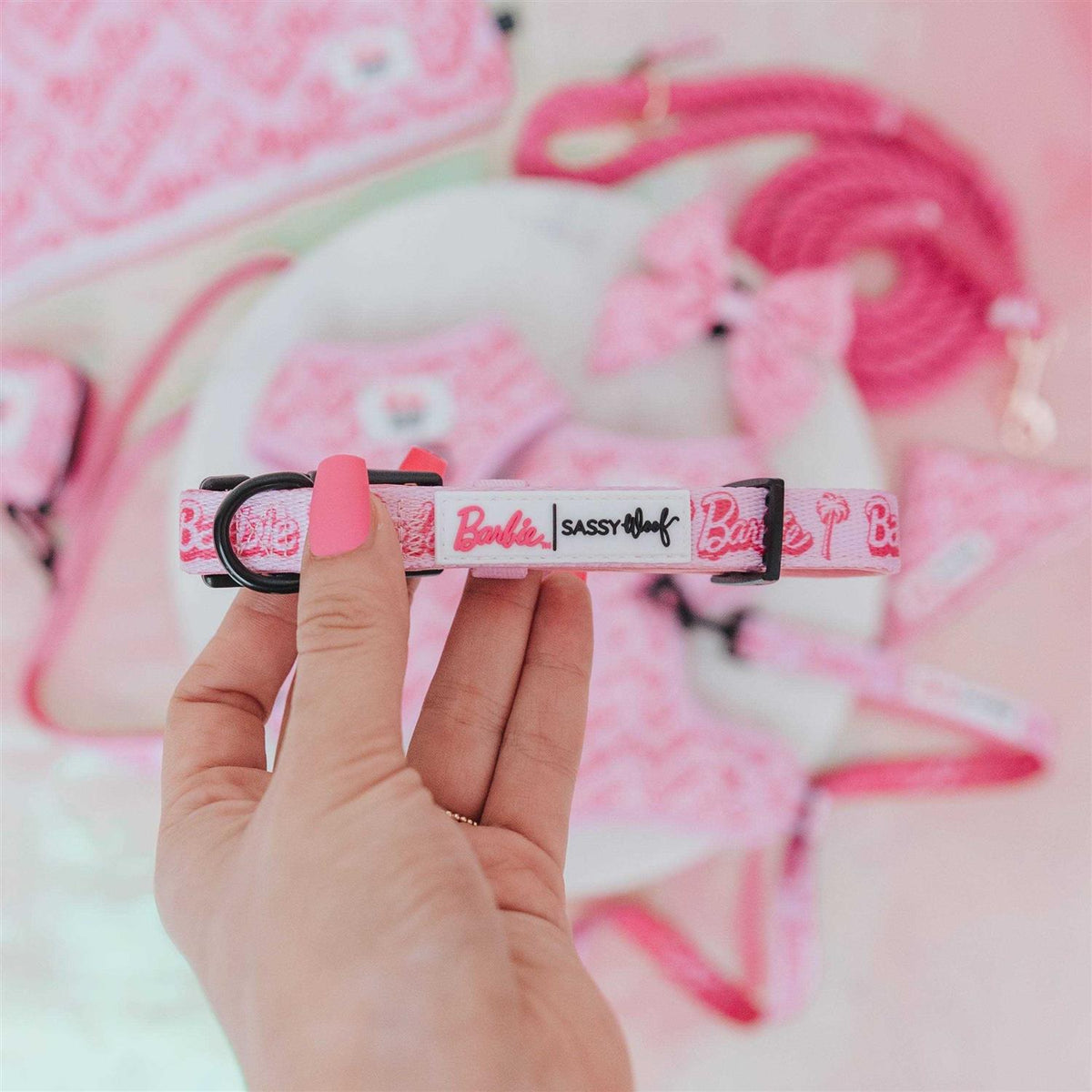 Dog Collar Q692