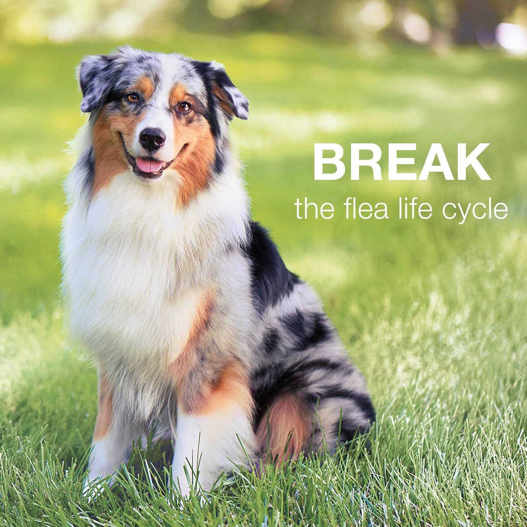 Advantage II for Dogs X26485